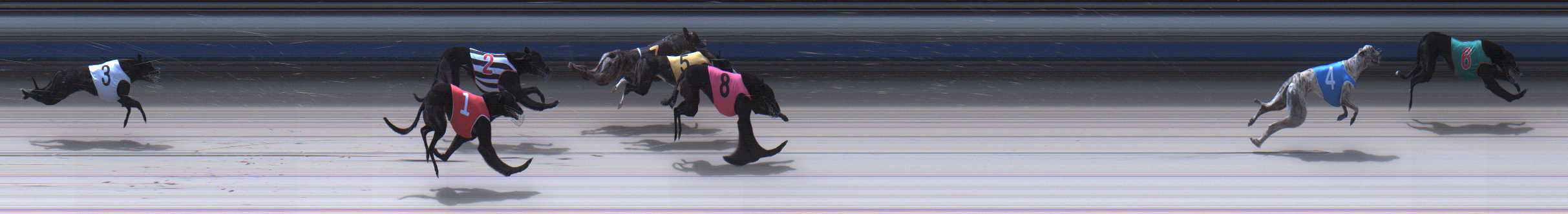 Photo finish for Sale Race 4