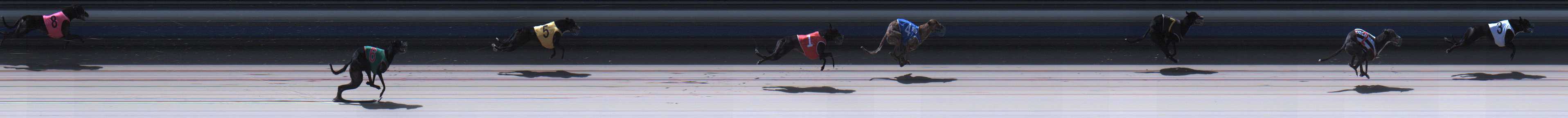 Photo finish for Sale Race 5