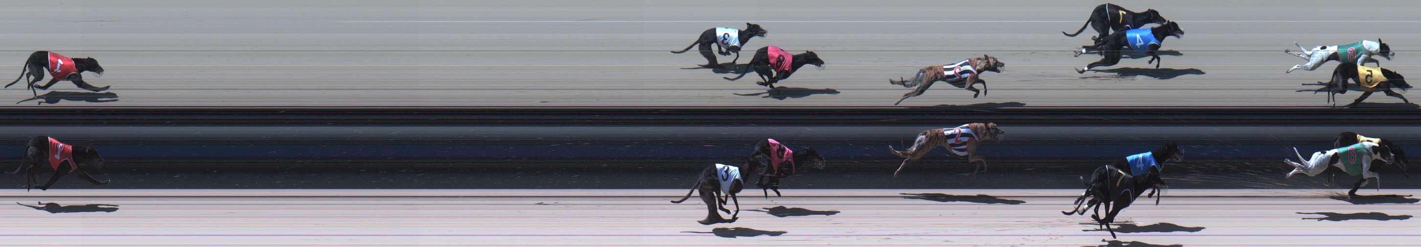 Photo finish for Sale Race 6