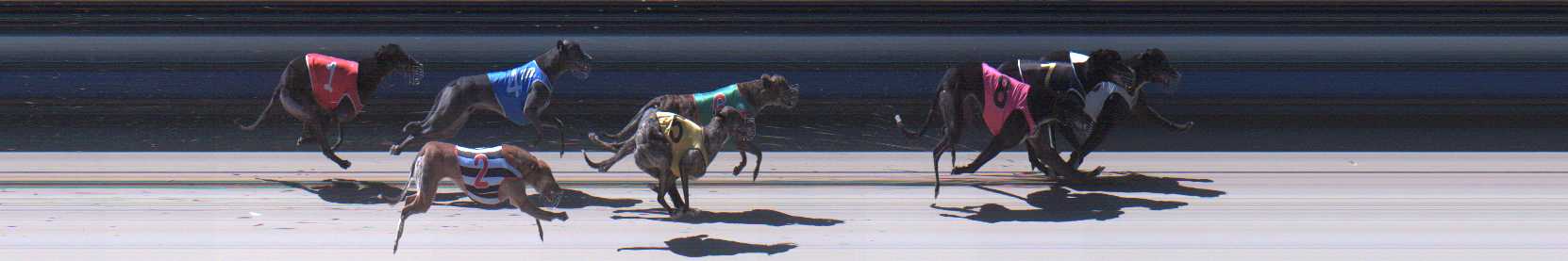 Photo finish for Sale Race 7