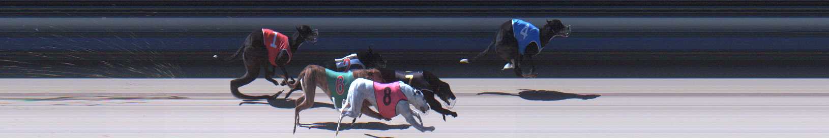 Photo finish for Sale Race 8