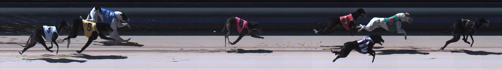 Photo finish for Sale Race 9