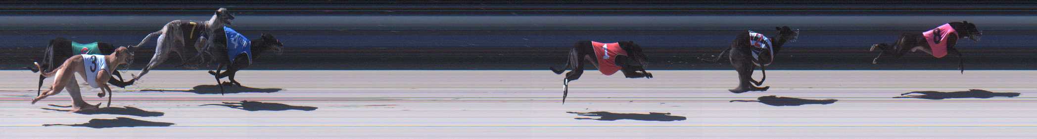 Photo finish for Sale Race 10