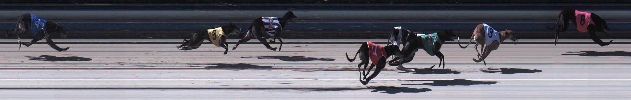 Photo finish for Sale Race 12