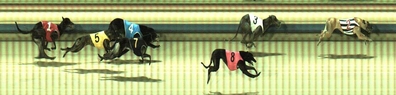 Photo finish for Sale Race 7