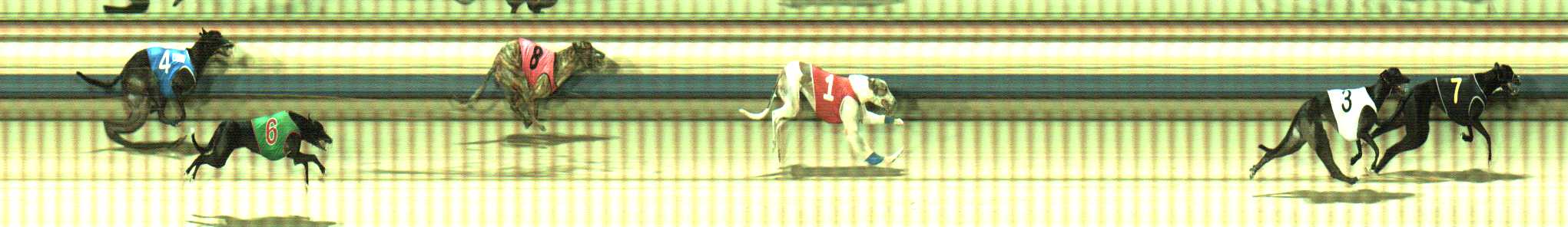 Photo finish for Sale Race 8