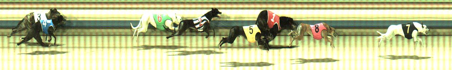 Photo finish for Sale Race 10