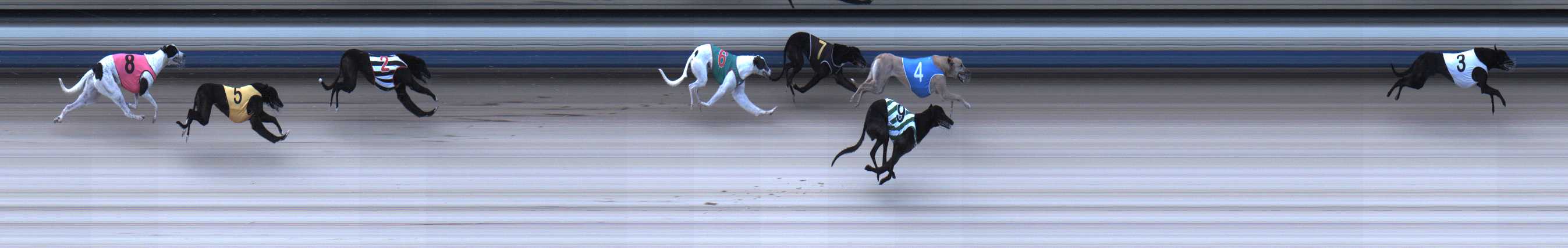Photo finish for Sale Race 1