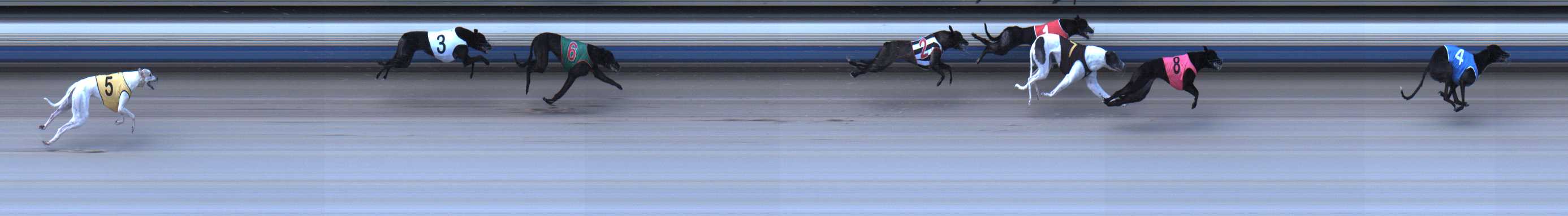 Photo finish for Sale Race 2