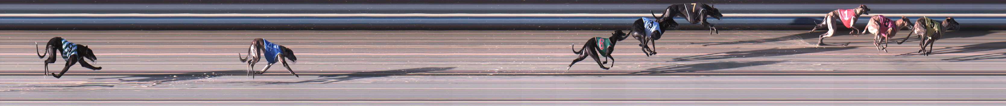 Photo finish for Sale Race 3