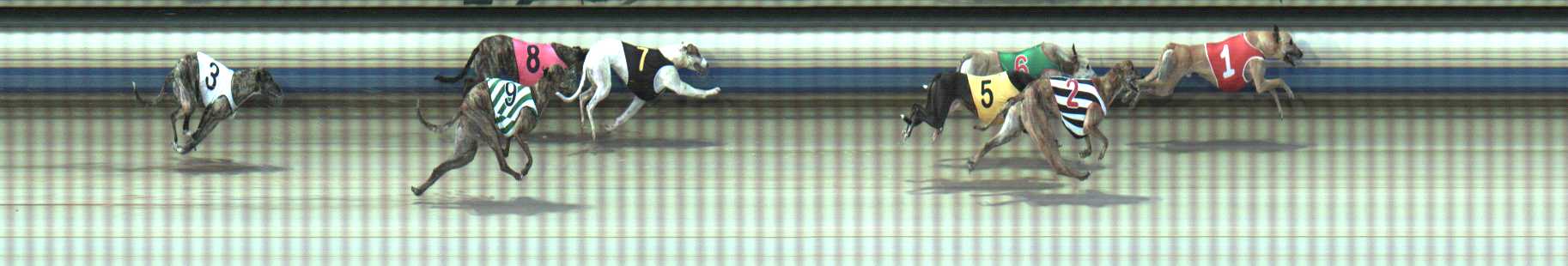 Photo finish for Sale Race 5