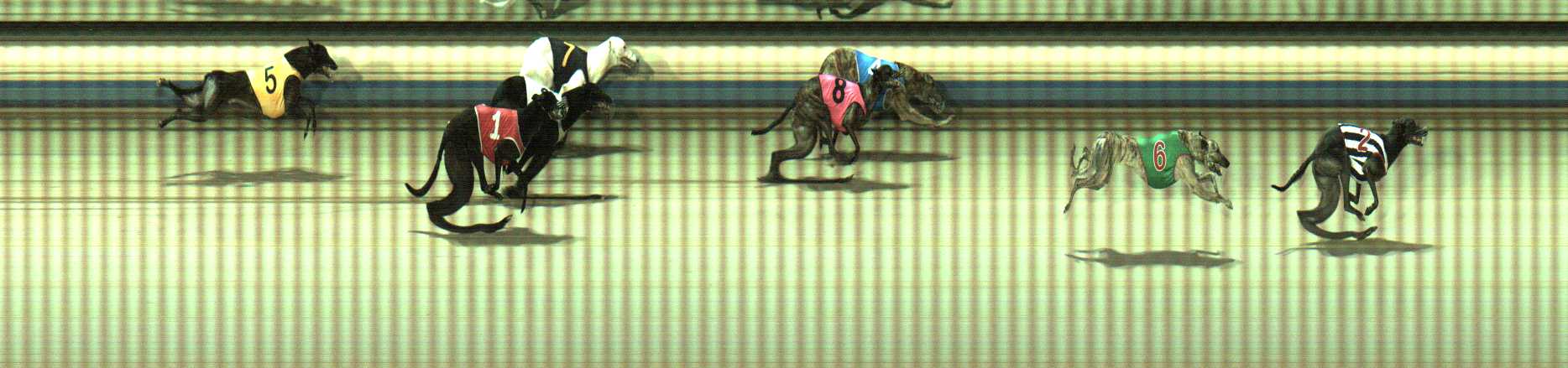 Photo finish for Sale Race 6