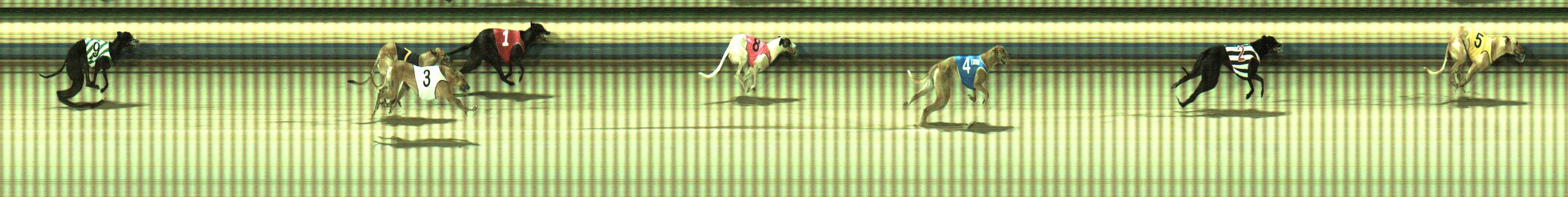 Photo finish for Sale Race 9