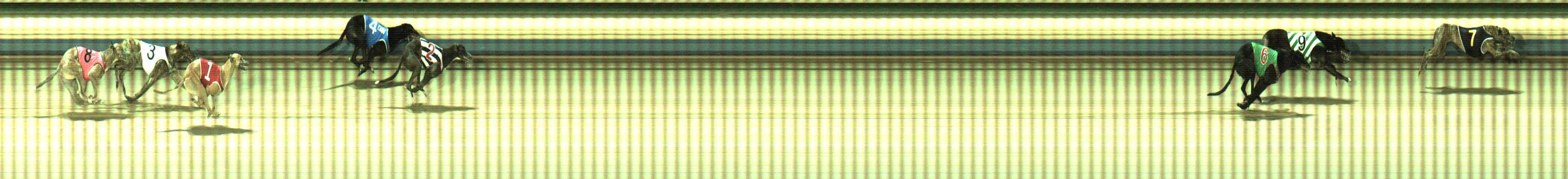 Photo finish for Sale Race 10