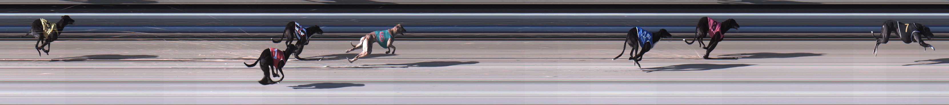 Photo finish for Sale Race 2