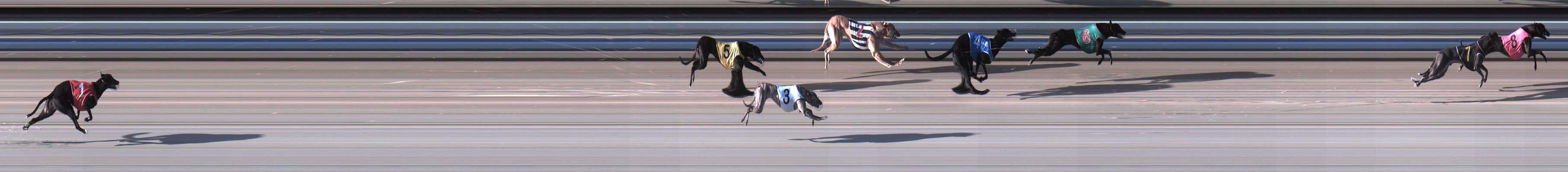 Photo finish for Sale Race 3