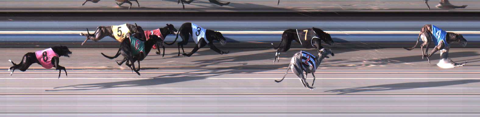 Photo finish for Sale Race 4