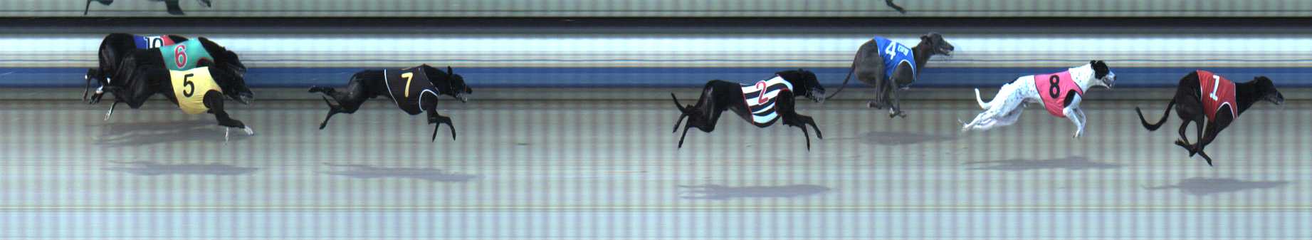 Photo finish for Sale Race 5