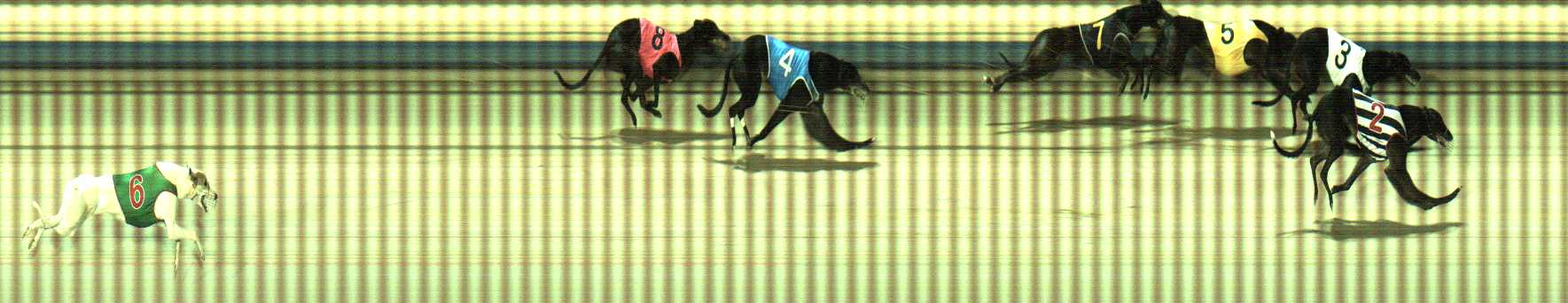 Photo finish for Sale Race 7