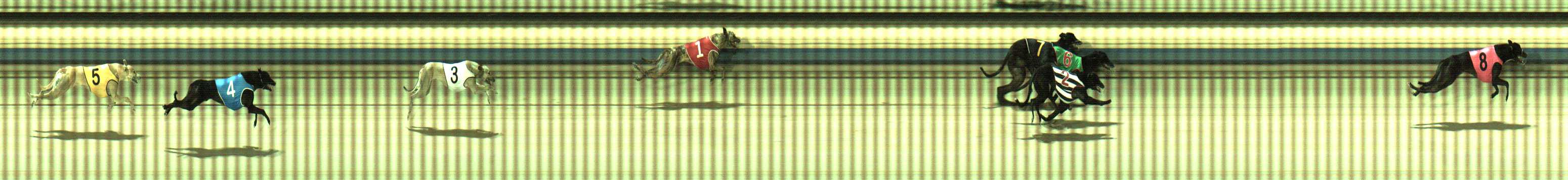 Photo finish for Sale Race 9