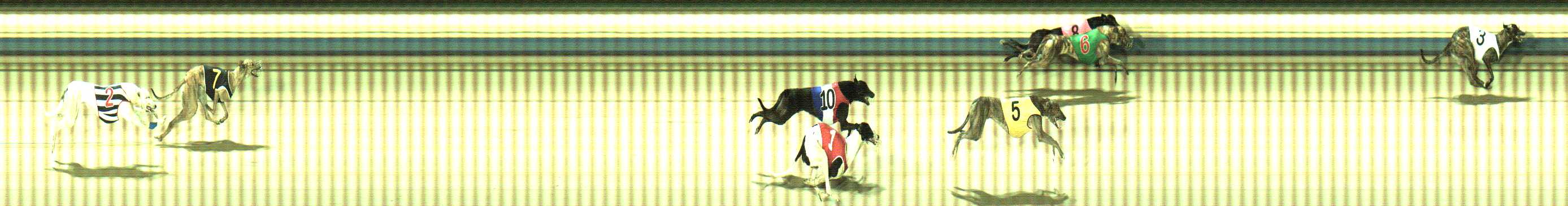 Photo finish for Sale Race 10