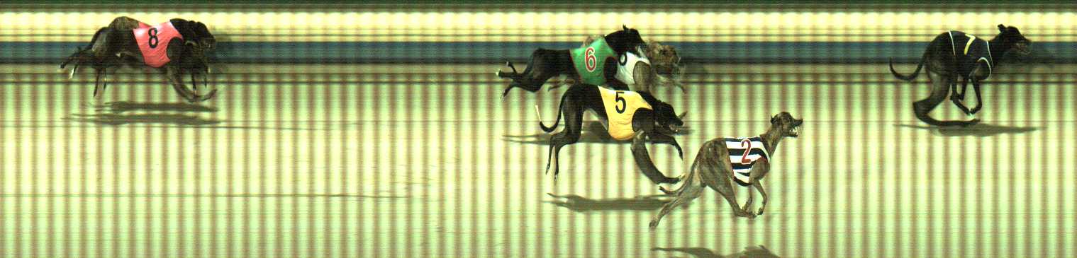 Photo finish for Sale Race 11