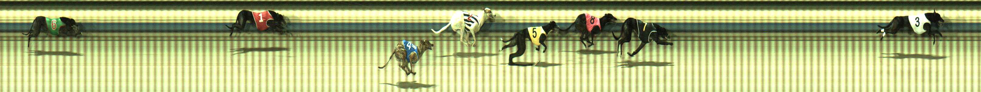 Photo finish for Sale Race 12