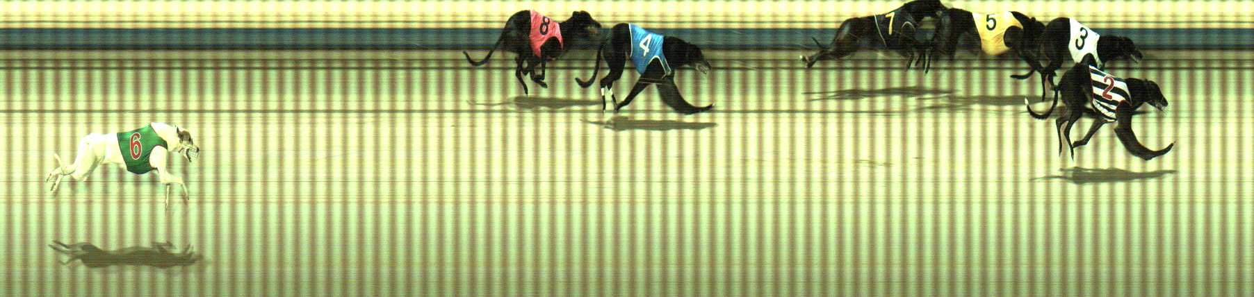 Photo finish for Sale Race 8