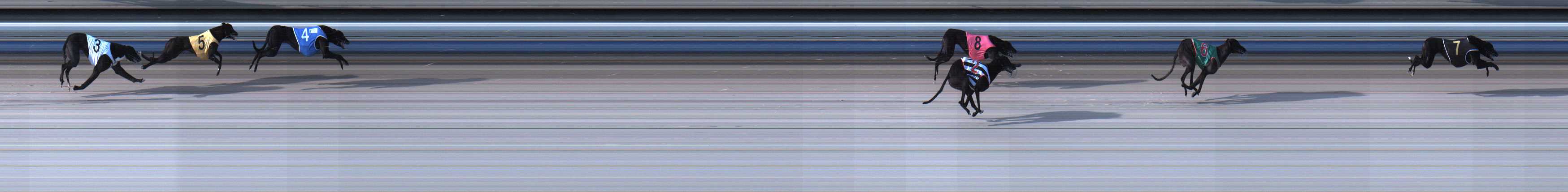 Photo finish for Sale Race 2