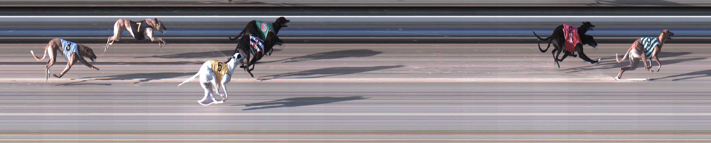 Photo finish for Sale Race 3
