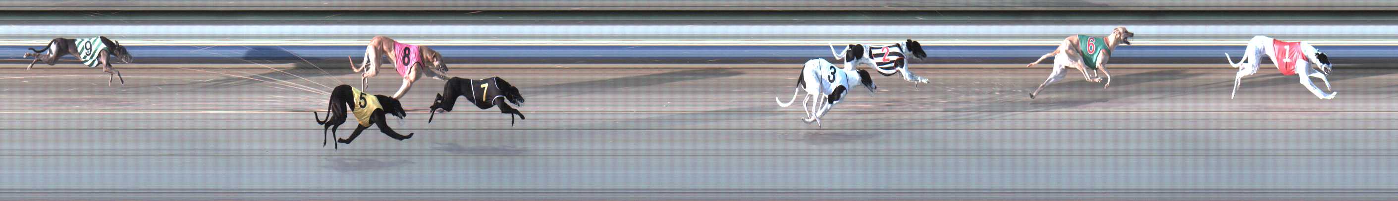 Photo finish for Sale Race 4