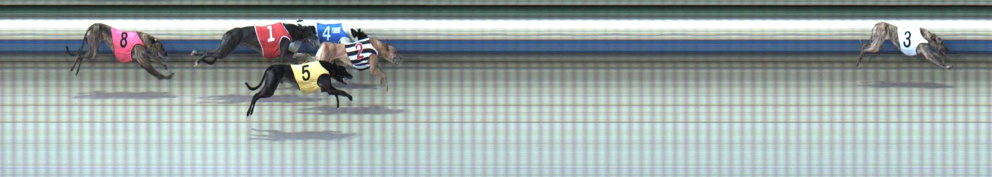 Photo finish for Sale Race 5