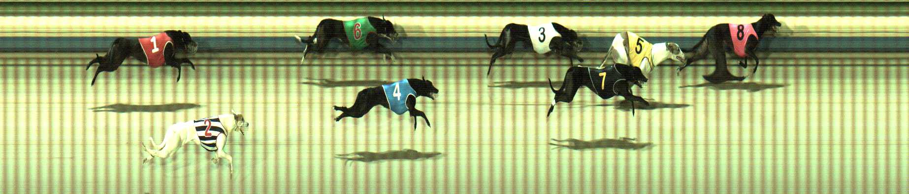 Photo finish for Sale Race 7