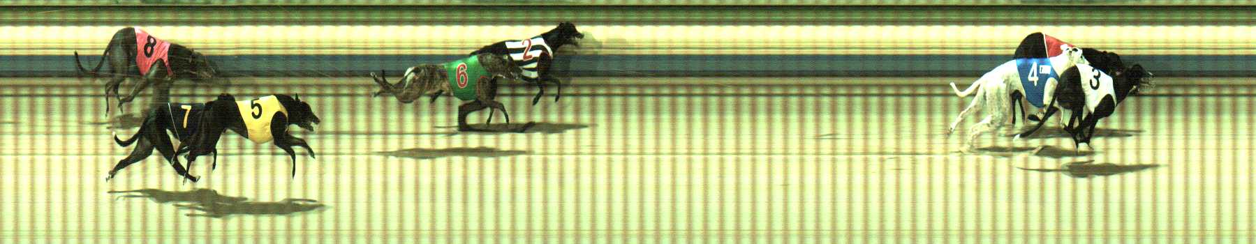 Photo finish for Sale Race 8