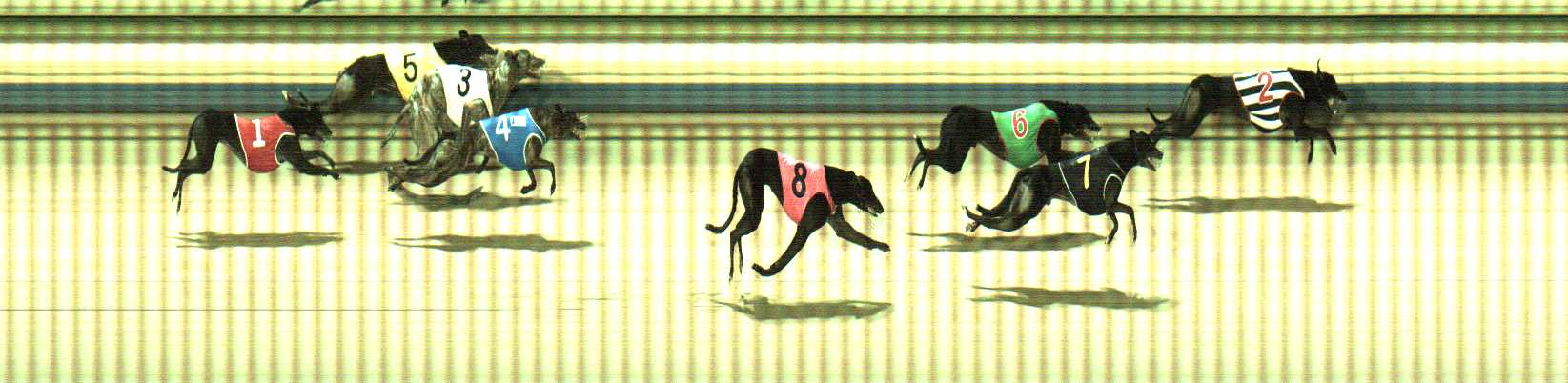 Photo finish for Sale Race 9