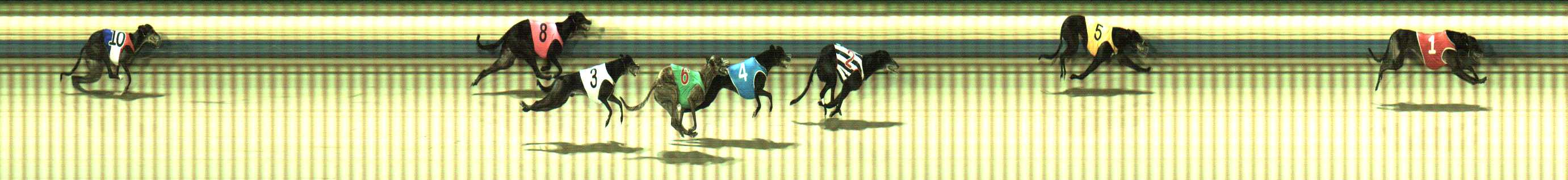 Photo finish for Sale Race 10