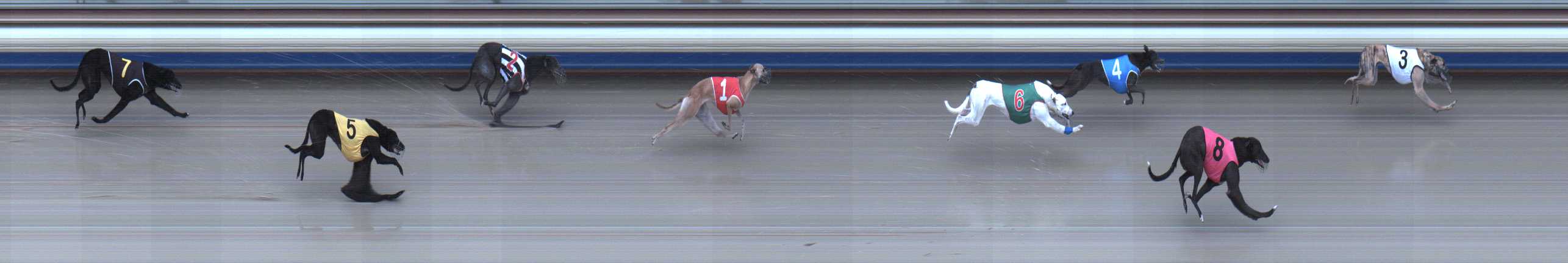 Photo finish for Sale Race 2
