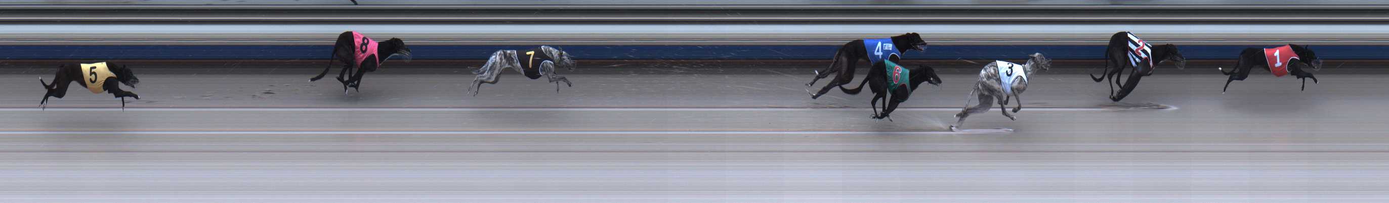 Photo finish for Sale Race 3
