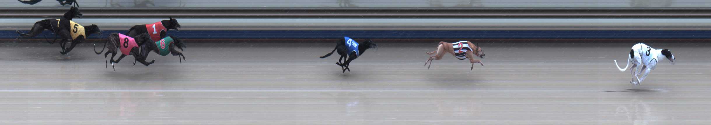 Photo finish for Sale Race 4