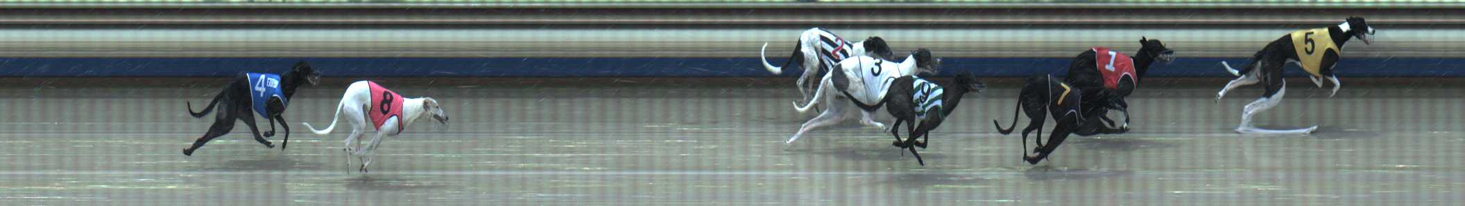 Photo finish for Sale Race 5