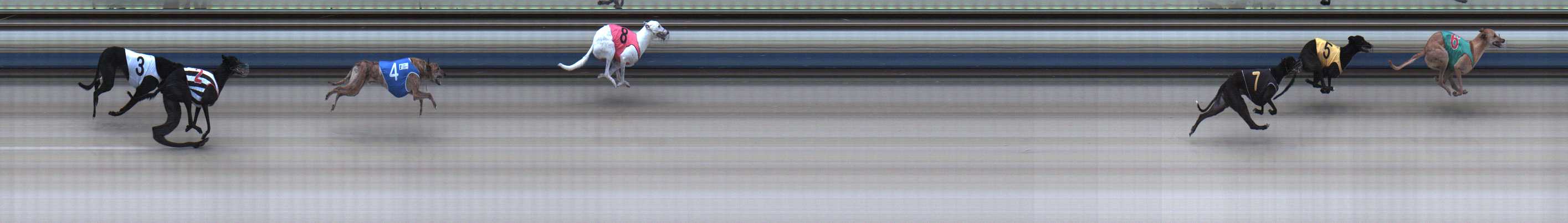 Photo finish for Sale Race 7