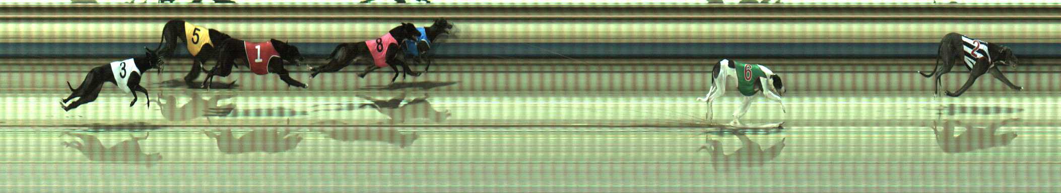 Photo finish for Sale Race 9