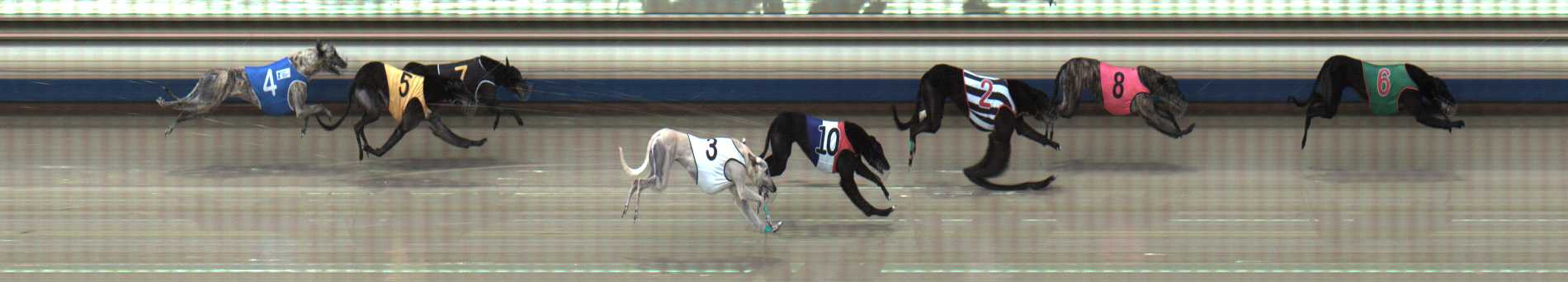 Photo finish for Sale Race 10