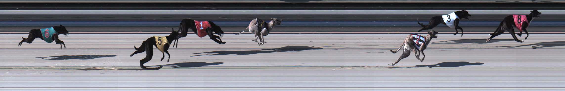 Photo finish for Sale Race 1