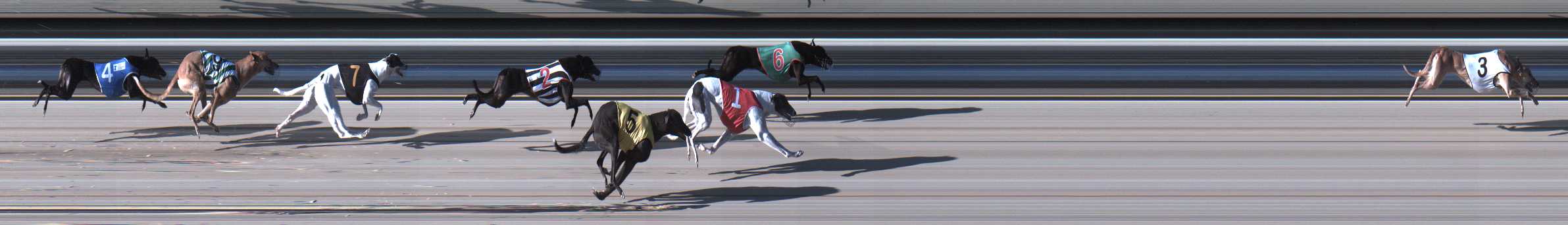 Photo finish for Sale Race 2