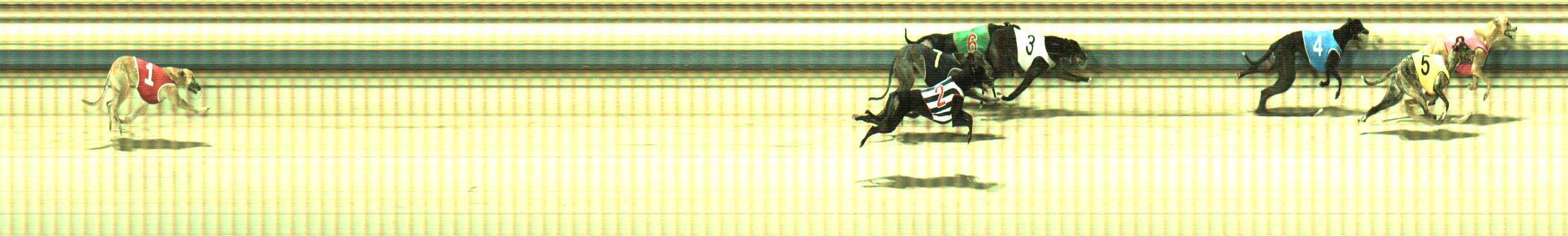 Photo finish for Sale Race 10