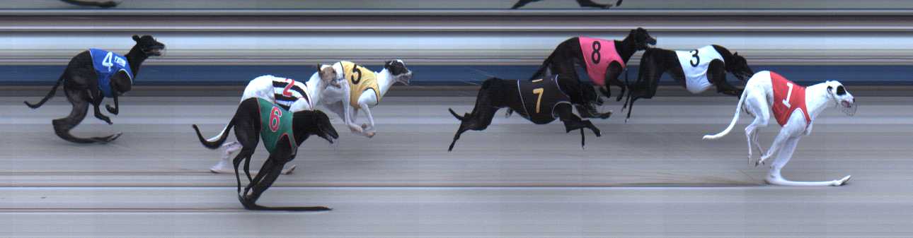 Photo finish for Sale Race 2