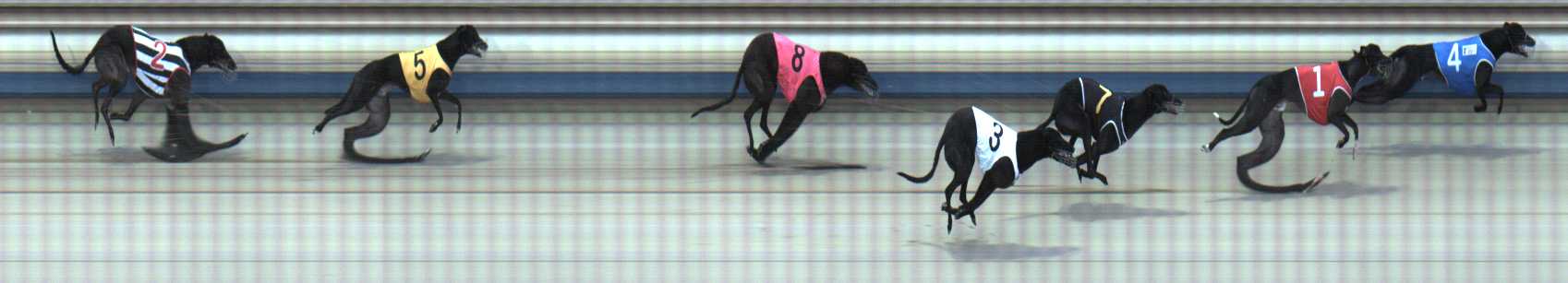 Photo finish for Sale Race 5