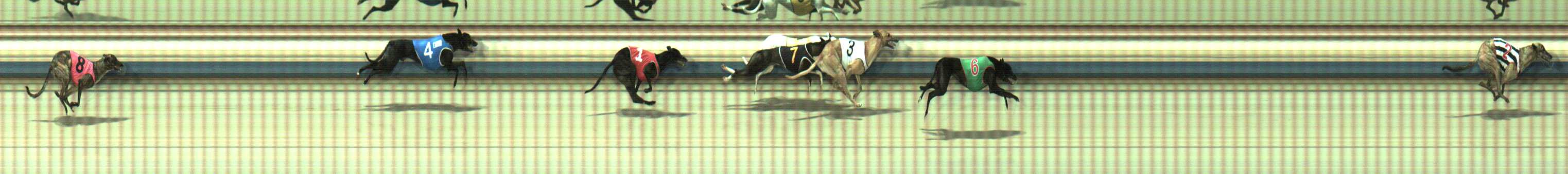 Photo finish for Sale Race 8
