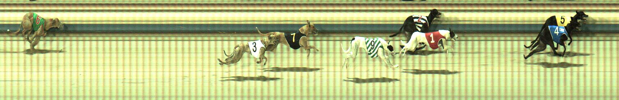 Photo finish for Sale Race 9